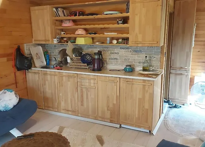 Silenos Stone House 公寓 *