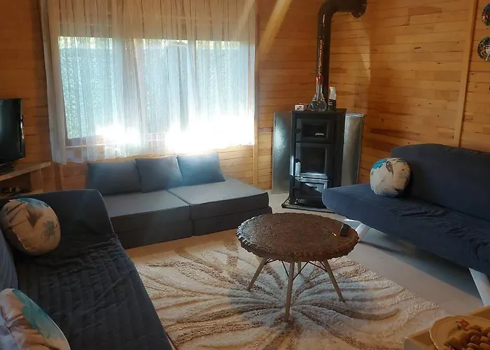 Silenos Stone House 科尼亚