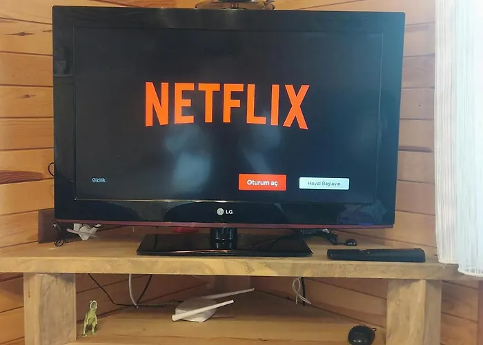 Silenos Stone House 公寓 *