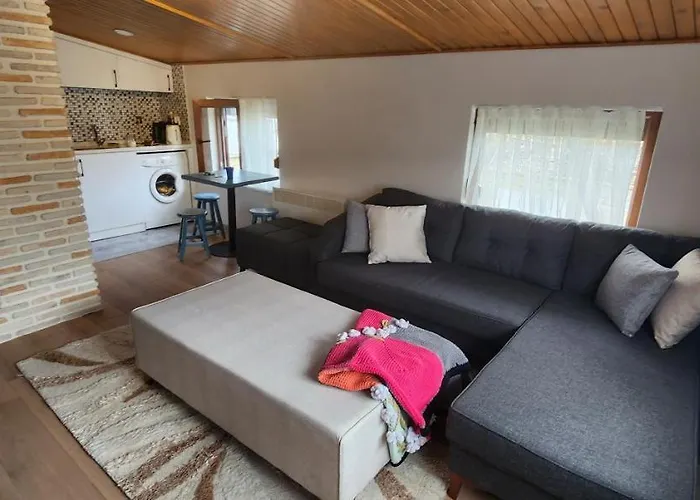 Silenos Stone House 公寓