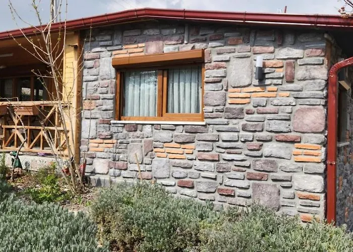 Silenos Stone House 公寓 *